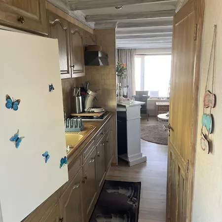 Κάμπινγκ Caravane Het Zeepaardje De Haan
